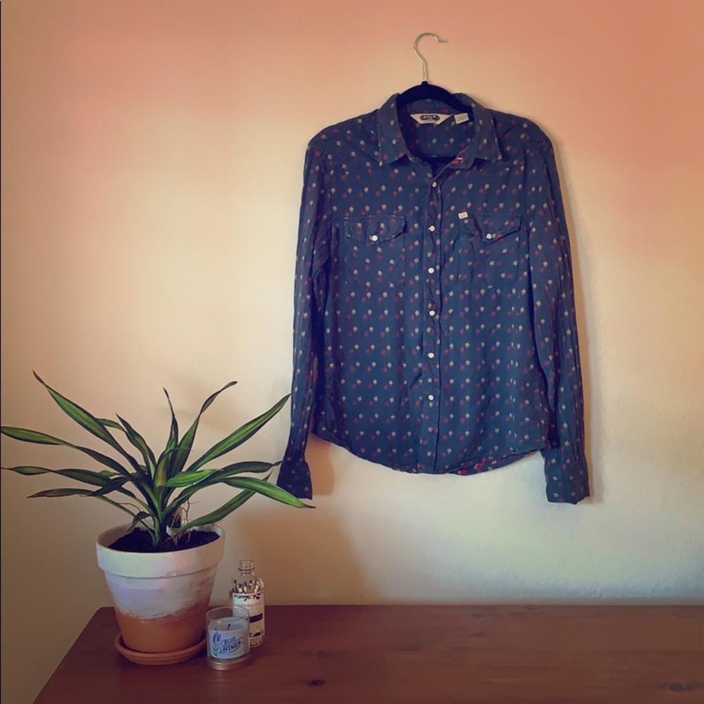Salt Valley Western Button Up